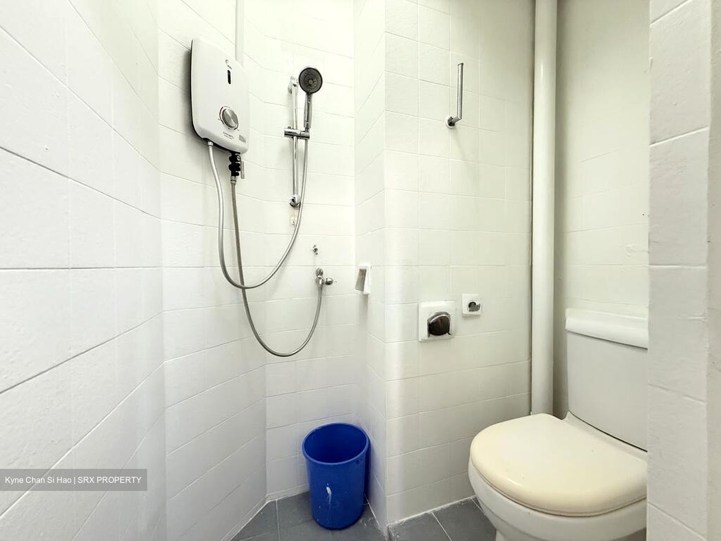 Pine Grove (D21), Condominium #576758481